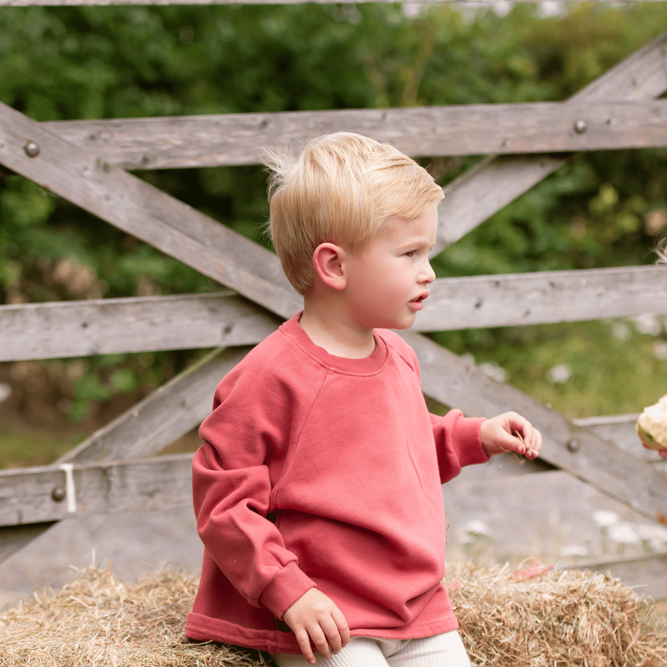 Cotton Sweatshirt - Clay