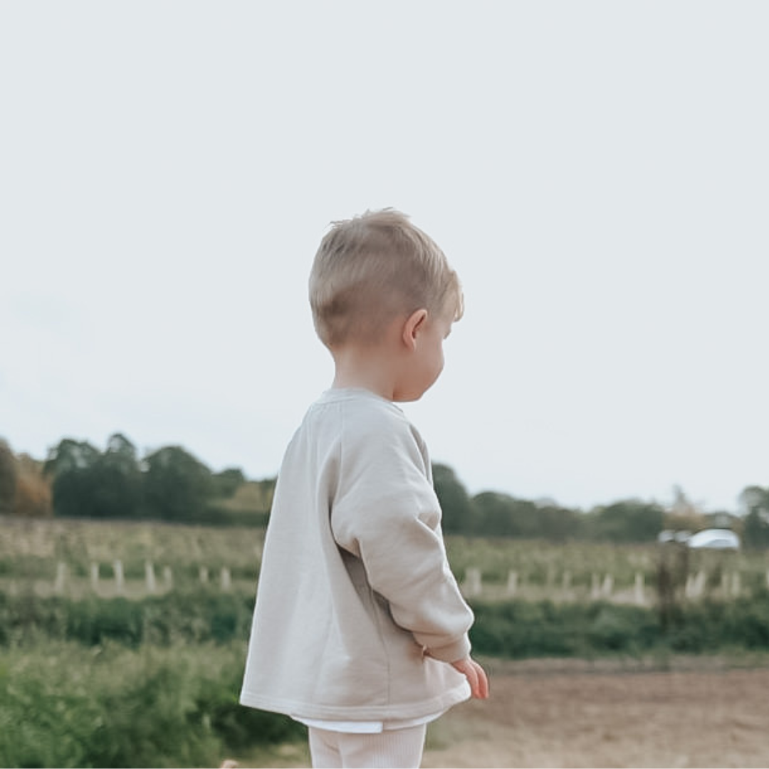 Cotton Sweatshirt - Stone