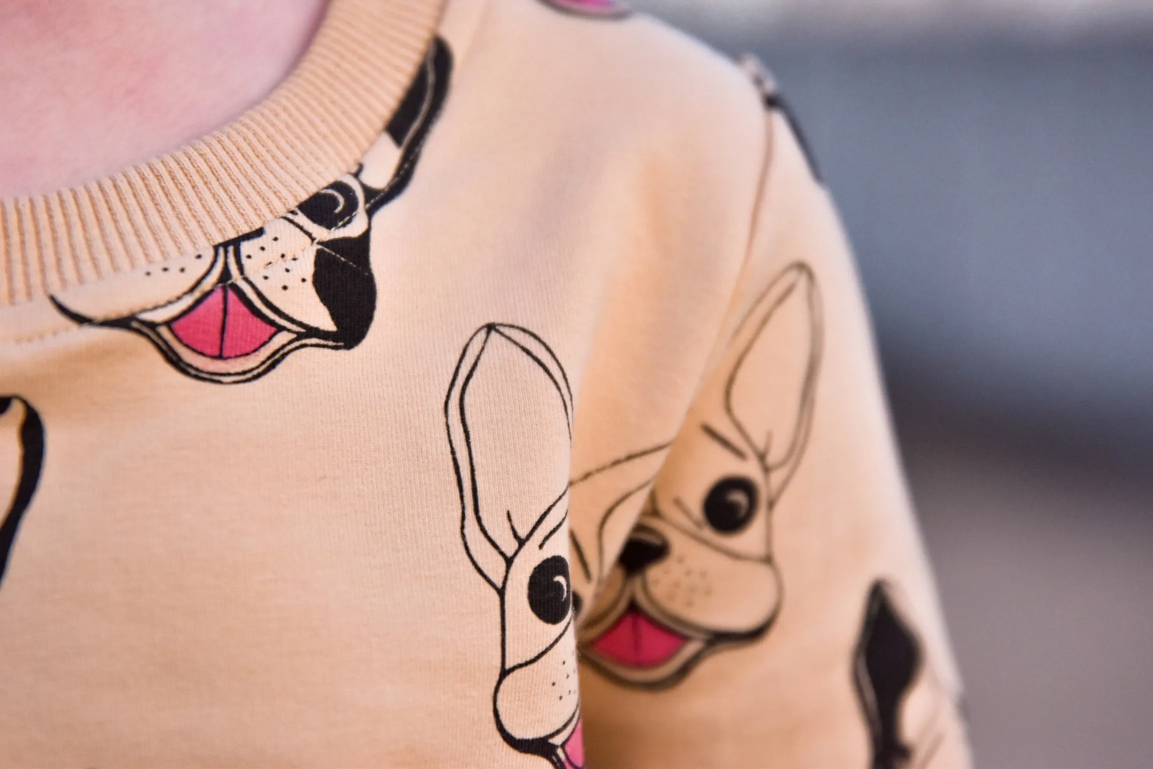 Frenchie Crewneck Top RTS