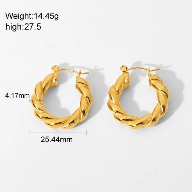 Stainless Steel Chunky Hoop Earrings